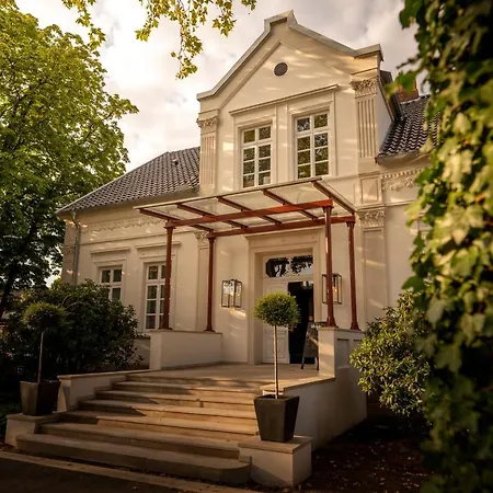 Prinzhorn דיפהולץ